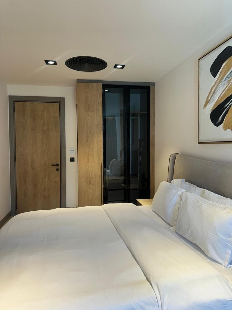 One Bedroom Apartment  2