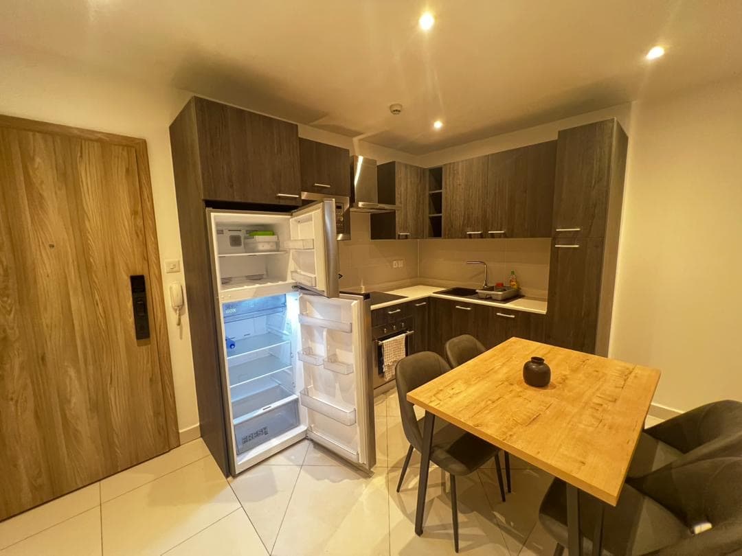 One Bedroom Apartment  4