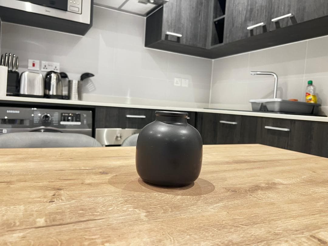 One Bedroom Apartment  10